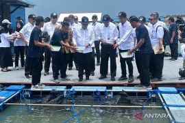 Koperasi nelayan dukung penuh kebijakan tata kelola lobster terbaru
