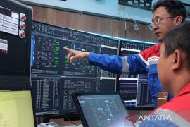 Memadukan langkah mewujudkan energi bersih di Indonesia