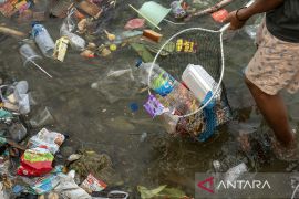 Aksi bersih Pantai Teluk Lalong di Banggai Page 5 Small