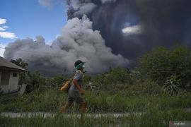 Sepekan, Erupsi Gunung Lewotobi Laki-laki hingga Marapi