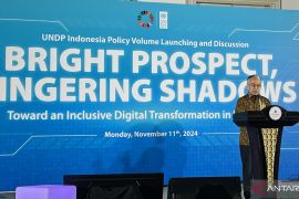 UNDP rekomendasikan Indonesia miliki indeks inklusivitas digital