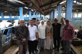 Komisi IV DPR dorong kolaborasi tingkatkan produksi susu nasional