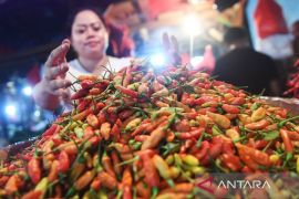 Bapanas: Harga cabai rawit Rp44.267/kg, bawang merah Rp37.403/kg