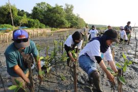 Survei: Dukungan warga Indonesia untuk aksi iklim tertinggi di dunia