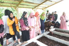 Pertamina kembangkan 