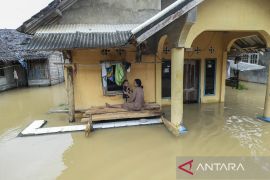 Sebanyak 430 rumah di Desa Idaman Pandeglang terisolir banjir