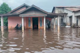 Banjir sudah rendam empat kecamatan di Singkawang 