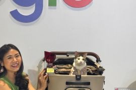 Bobby Kertanegara si kucing raih penghargaan dari Google Indonesia