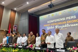 Ekonom minta Pemerintah membandingkan tarif PPN dengan anggota ASEAN