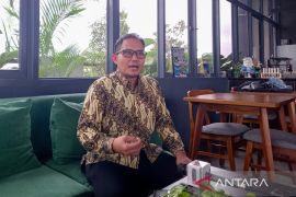 Ekonom sebut insentif tak cukup redam dampak PPN naik jadi 12 persen