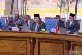 Presiden Prabowo ajak negara D-8 dorong perekonomian demi dukung Palestina