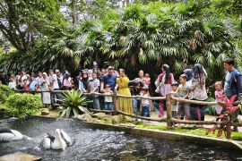 Lembah Hijau  objek wisata favorit isi liburan tahun baru
