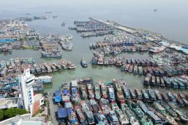 KKP atur jumlah kapal operasional sesuai ketersediaan sumber daya ikan