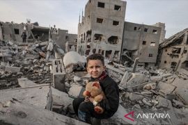 258 staf UNRWA di Gaza tewas sejak awal perang