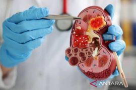 Pasien hipertensi, diabetes, dan obesitas rentan alami gagal ginjal
