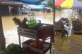 Lima desa di Kabupaten Kampar terendam banjir