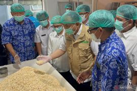Kandungan gizi tempe kedelai dan 6 manfaat kesehatan luar biasa
