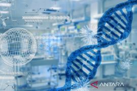 WHO: Virus Marburg diduga sebabkan delapan warga Tanzania meninggal
