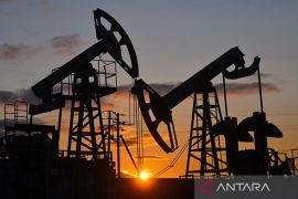 Oposisi Jepang usulkan pemerintah impor minyak dari Rusia