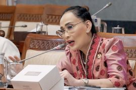 Anggota DPR: Media nasional mati perlahan jika tak revisi UU Penyiaran