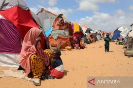 Uni Afrika sebut Afrika merugi 18 miliar dolar AS/tahun akibat konflik
