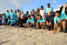100 tukik dilepaskan ke pulau terluar Aceh untuk mendukung konservasi