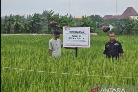 KPK panggil tiga saksi kasus pengadaan lahan di Rorotan