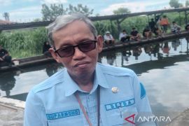 Usaha pemancingan mendongkrak pemasaran hasil produksi ikan di Sleman