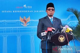 Struktur Danantara dipimpin Rosan, dibantu Pandu Sjahrir-Dony Oskaria