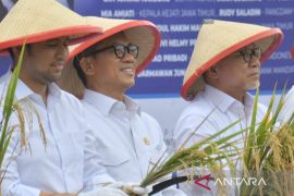 Mendes optimistis swasembada pangan dapat segera terwujud