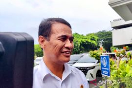 Pemerintah buka 4.800 gerai pangan untuk tekan harga bahan pokok