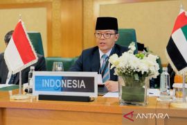 Menlu RI tegas di ICJ: Hak Palestina terus dilanggar Israel