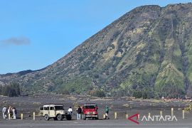 TNBTS sebut penemuan ladang ganja di luar jalur Bromo dan Semeru