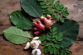 7 Ramuan herbal ampuh untuk mengobati stroke ringan secara alami