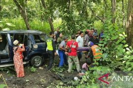 Kecelakaan beruntun di Jalur Pantura Jawa-Bali, satu orang luka