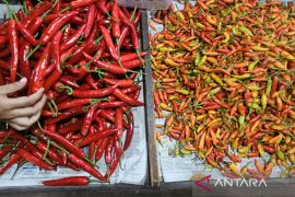 Pedagang sebut harga bahan pokok di Malang stabil saat Lebaran