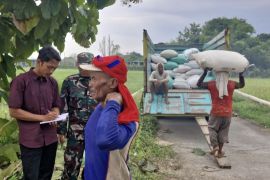 Bulog pastikan penyerapan gabah terus dilakukan meski libur Lebaran