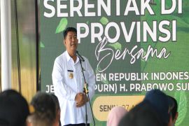 17 kelompok penangkar benih padi di Kulon Progo dihidupkan kembali