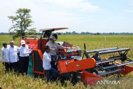 Zulhas: Panen raya serentak bukti Indonesia mampu wujudkan swasembada