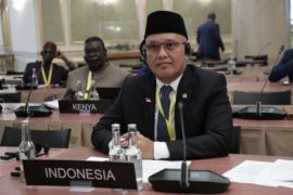 Anggota DPR minta pemerintah Indonesia jadi juru damai India-Pakistan