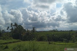 Prakiraan cuaca Semarang hari ini, hujan ringan hingga sedang