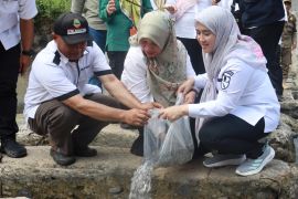 Cirebon optimalkan 85 ribu benih ikan untuk ketahanan pangan