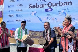 Human Initiative siapkan 450 ekor sapi  untuk kurban 2025 di Maluku
