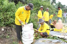 Petani binaan Pertamina EP Jambi perkuat ketahanan pangan hortikultura