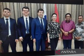 Dewan Energi Nasional mendukung BUMN Rusia investasi PLTN di Sultra