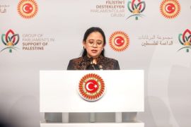Ketua DPR minta pemerintah jamin keselamatan WNI di India-Pakistan