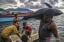 KKP sebut Indonesia merupakan produsen tuna terbesar dunia