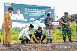 Peringati Hari Bumi, Kemenag Meranti tanam pohon matoa di Desa Alahair