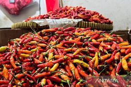 Harga pangan: bawang merah Rp43.083/kg, cabai rawit merah Rp78.530/kg