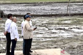 Tanam raya dan terobosan cerdas menggenjot produksi pangan